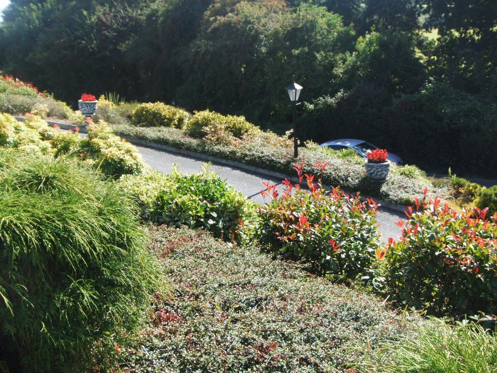 Blarney Vale B&B Værelse billede