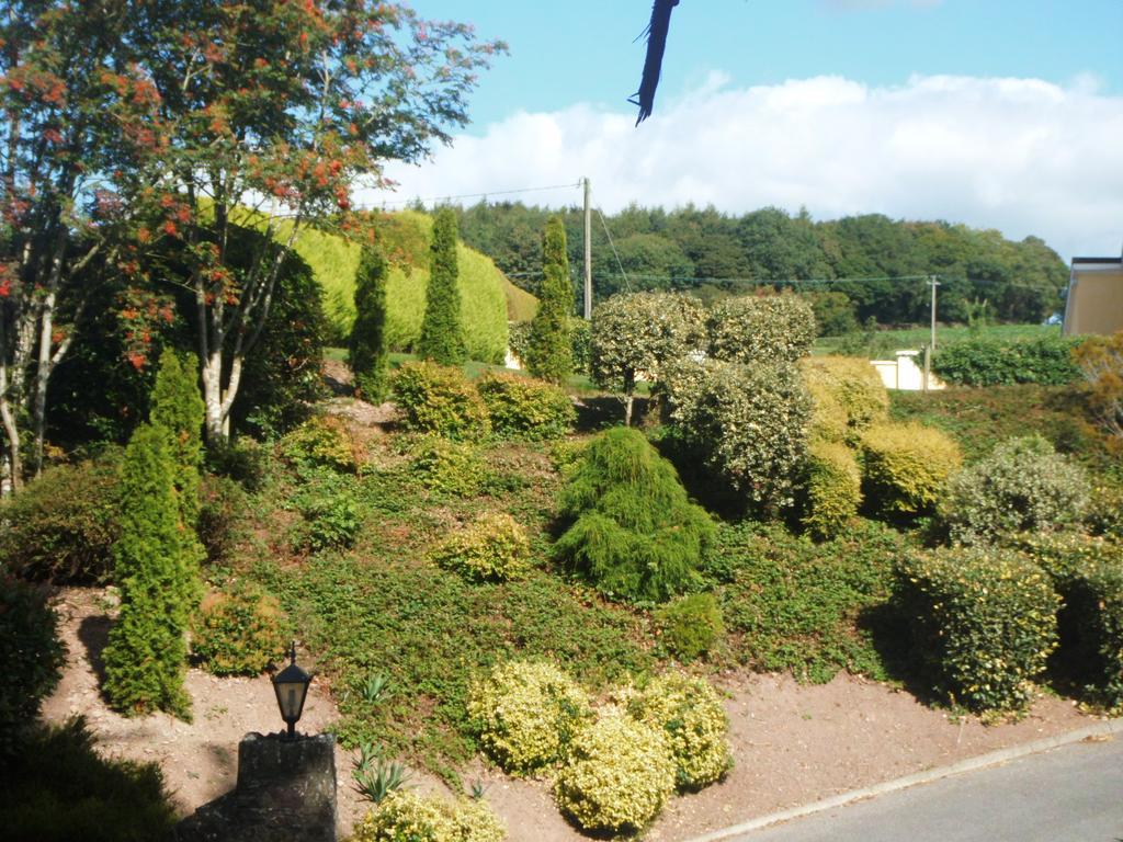 Blarney Vale B&B Eksteriør billede