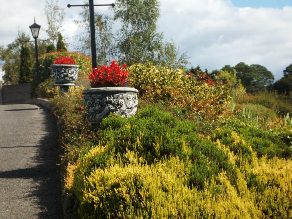 Blarney Vale B&B Eksteriør billede